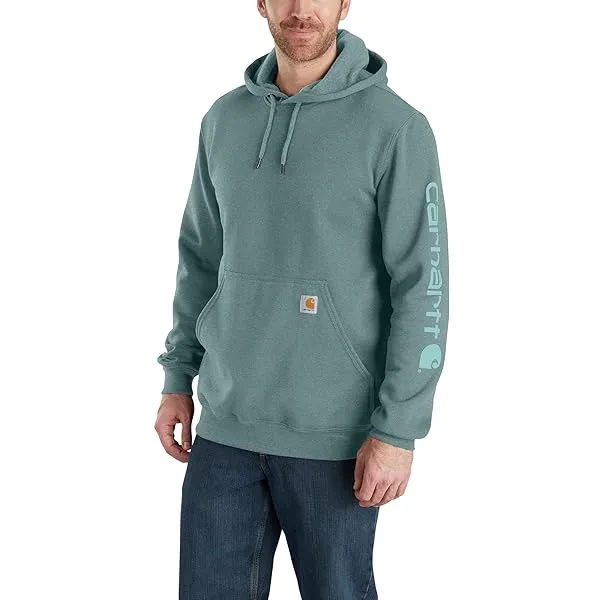 Carhartt Loose Fit Midweight Logo Sleeve Graphic Hoodie Men's