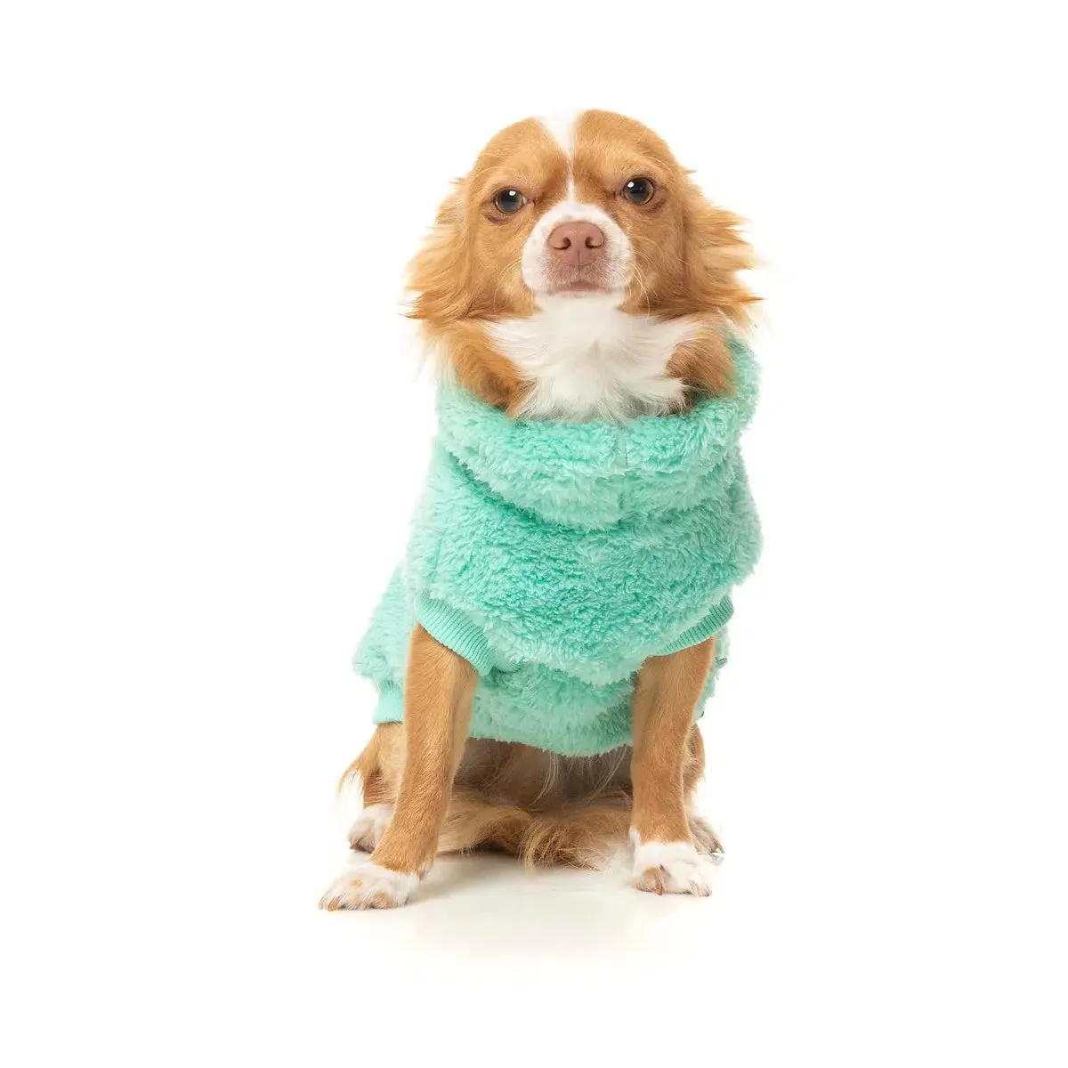 FuzzYard | Turtle Teddy Sweater - Teal